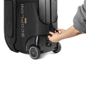EcoFlow DELTA Pro Çantası - Görsel 5